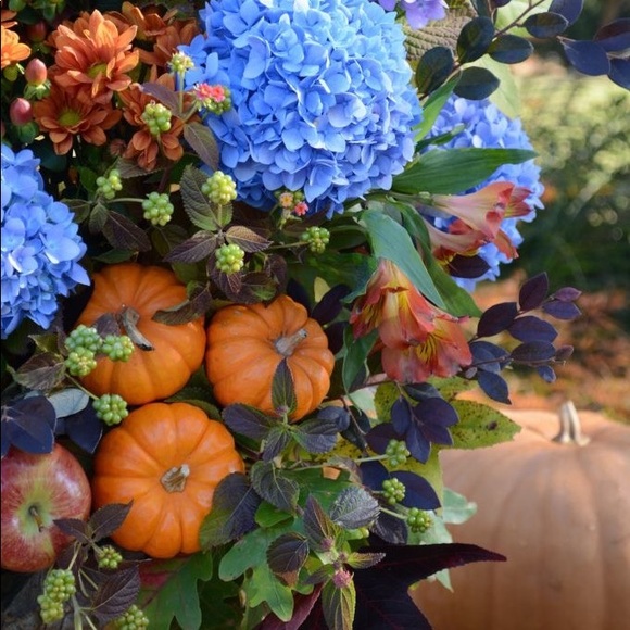 Meet your Posher, Anne - Picture 2 of 3